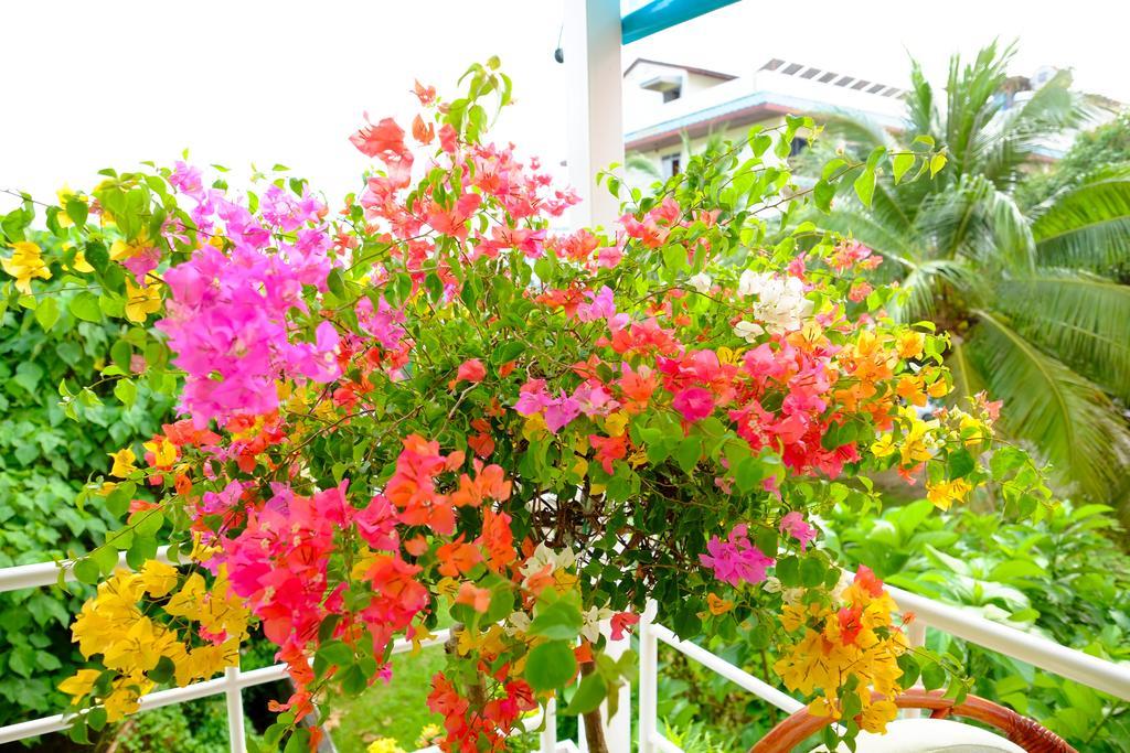 Adonis Guest House Patong Exterior photo
