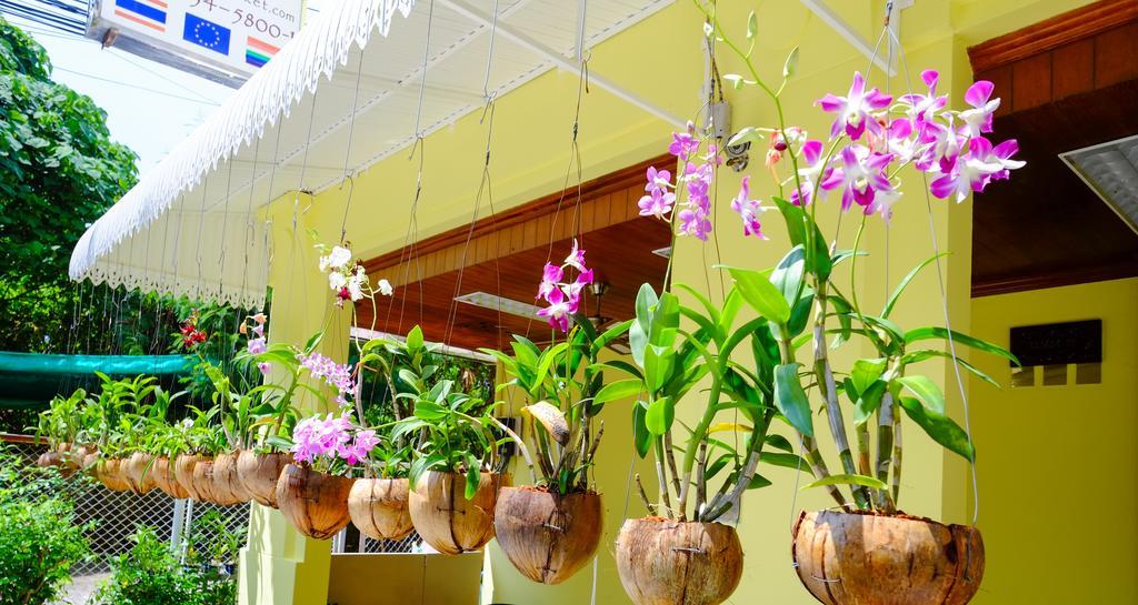 Adonis Guest House Patong Exterior photo